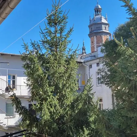 Venice Lagoon Daire *