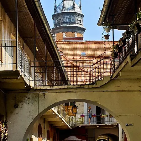 Venice Lagoon Cracovia